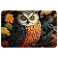 thumbnail image 1 of Owl Non-Slip Polyester Kitchen Mat Indoor Rug Area Rugs Machine Washable Indoor Mat, 1 of 6