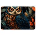 thumbnail image 1 of Owl Non-Slip Polyester Kitchen Mat Indoor Rug Area Rugs Machine Washable Indoor Mat, 1 of 6