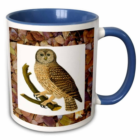 3drose, Owl on Fall Leaves, 15oz Two-tone Blue Mug