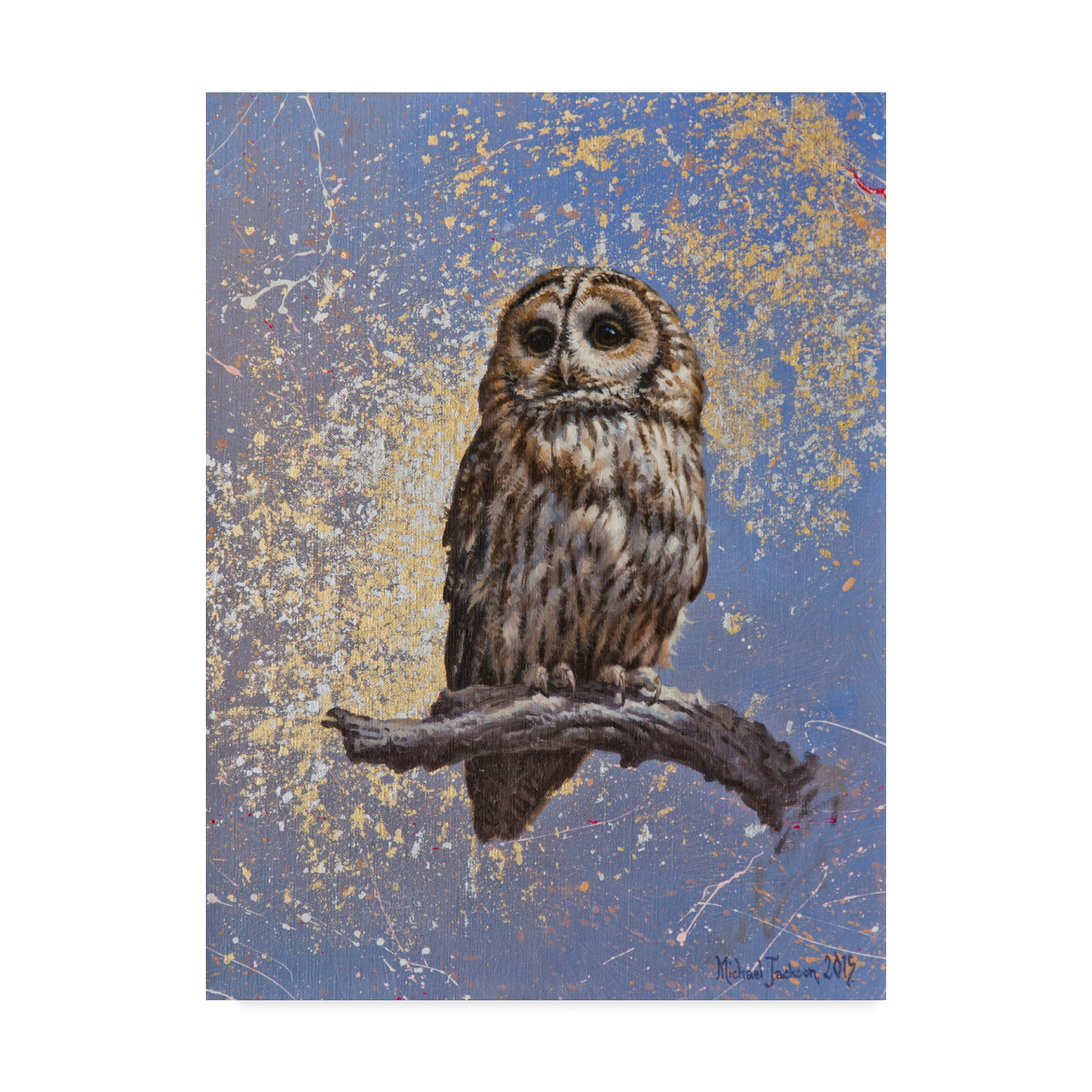 Owl Over Background' Canvas Art by Michael Jackson