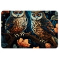 thumbnail image 1 of Owl Polyester Non-Slip Machine Washable Door Rug Game Mat Kitchen Rug Office Rugs, 1 of 6