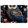 thumbnail image 1 of Owl Polyester Non-Slip Machine Washable Indoor Door Area Office Rug, 1 of 6