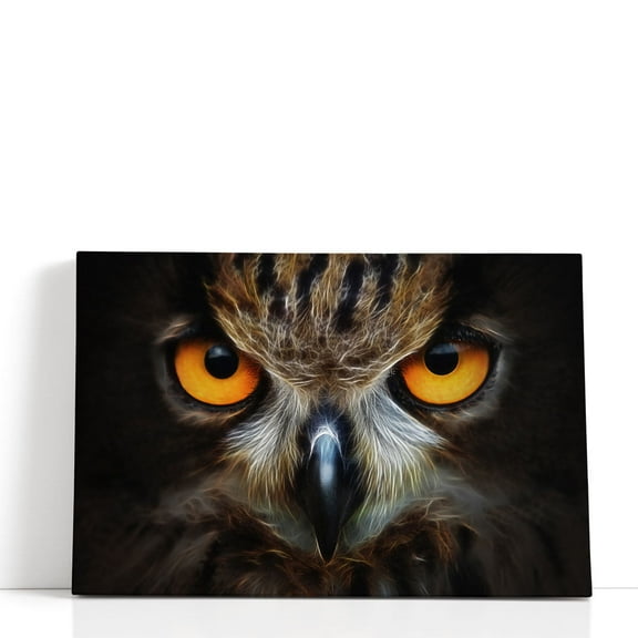 Owl Portrait with Fractal Background - Wrapped Canvas Print Wall Art | 18" W x 12" H