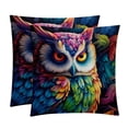 thumbnail image 1 of Owl Set of 2 Velvet Throw Pillow Covers Inserts for Bed Pillow, Decorative Pillows - 16x16 18x18 20x20 Inches with Unique Patterns for Various Occasions, 1 of 6