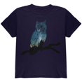 thumbnail image 1 of Owl Starry Night Sky Youth T Shirt Navy YLG, 1 of 1