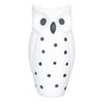 thumbnail image 1 of Owl Statue Vase Ceramic Flower Arrangement Container Flower Vase Desktop Decor, 1 of 6