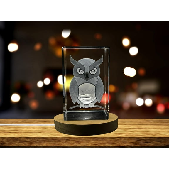 Owl Symbolism 3D Engraved Crystal Decor