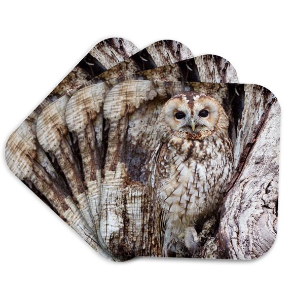 3drose, Owl. Wild Life., Set of 4 Coasters - Soft