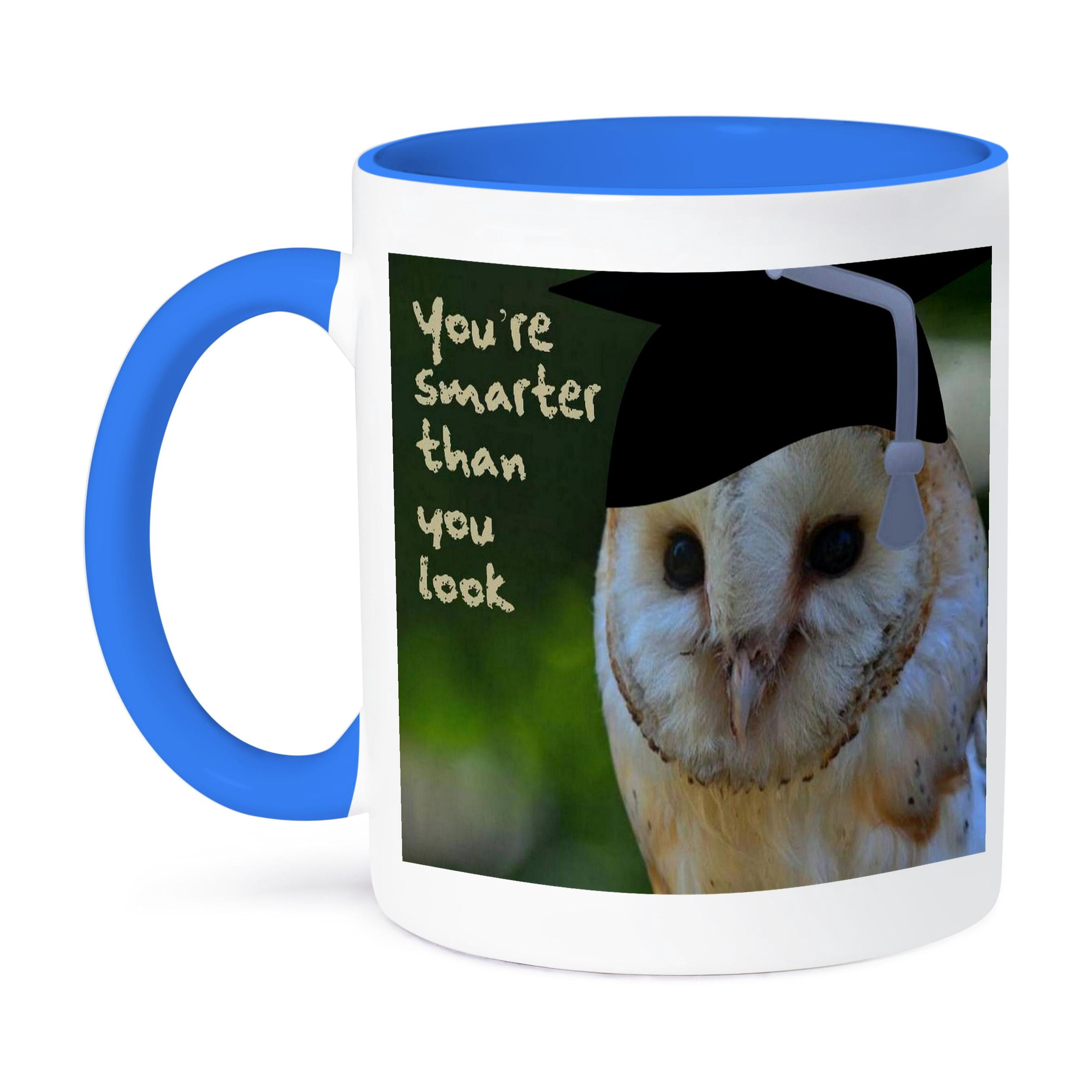 3dRose, Owl- graduate, celebration, achievement, graduation, funny ...