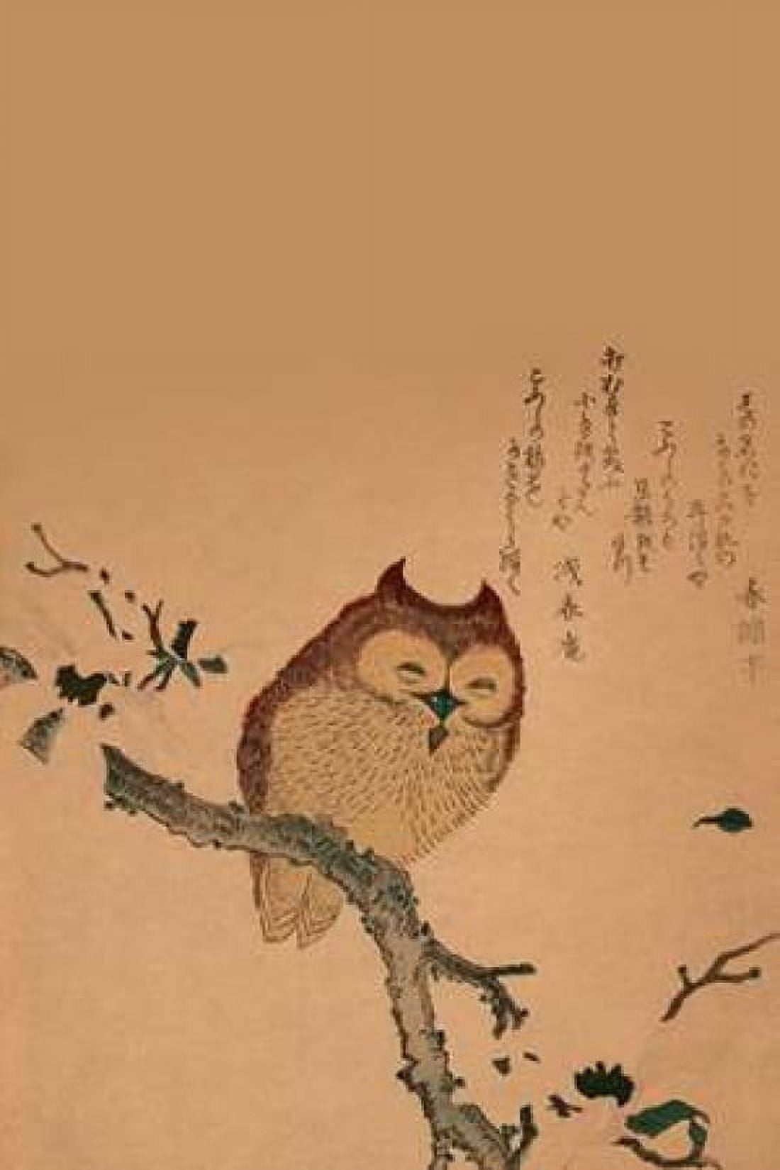 Owl of Branch Canvas Art - Unknown (12 x 18)