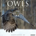 thumbnail image 1 of Owls 2024 12 X 12 Wall Calendar (Home of Office Calendar) Willow Creek Press, 1 of 4