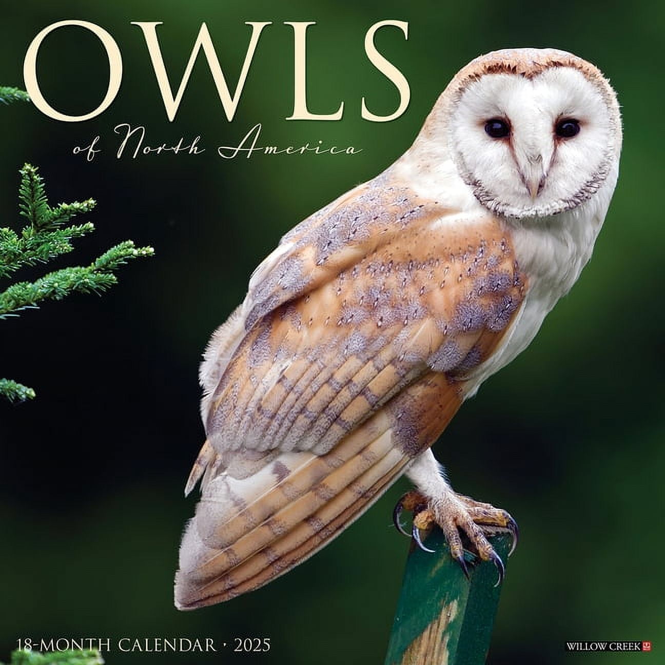 Owls 2026 12 X 12 Wall Calendar, (Hardcover)