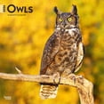 thumbnail image 1 of Owls | 2026 12x24" (Hanging) Square Wall Calendar | Plastic-Free, 1 of 9
