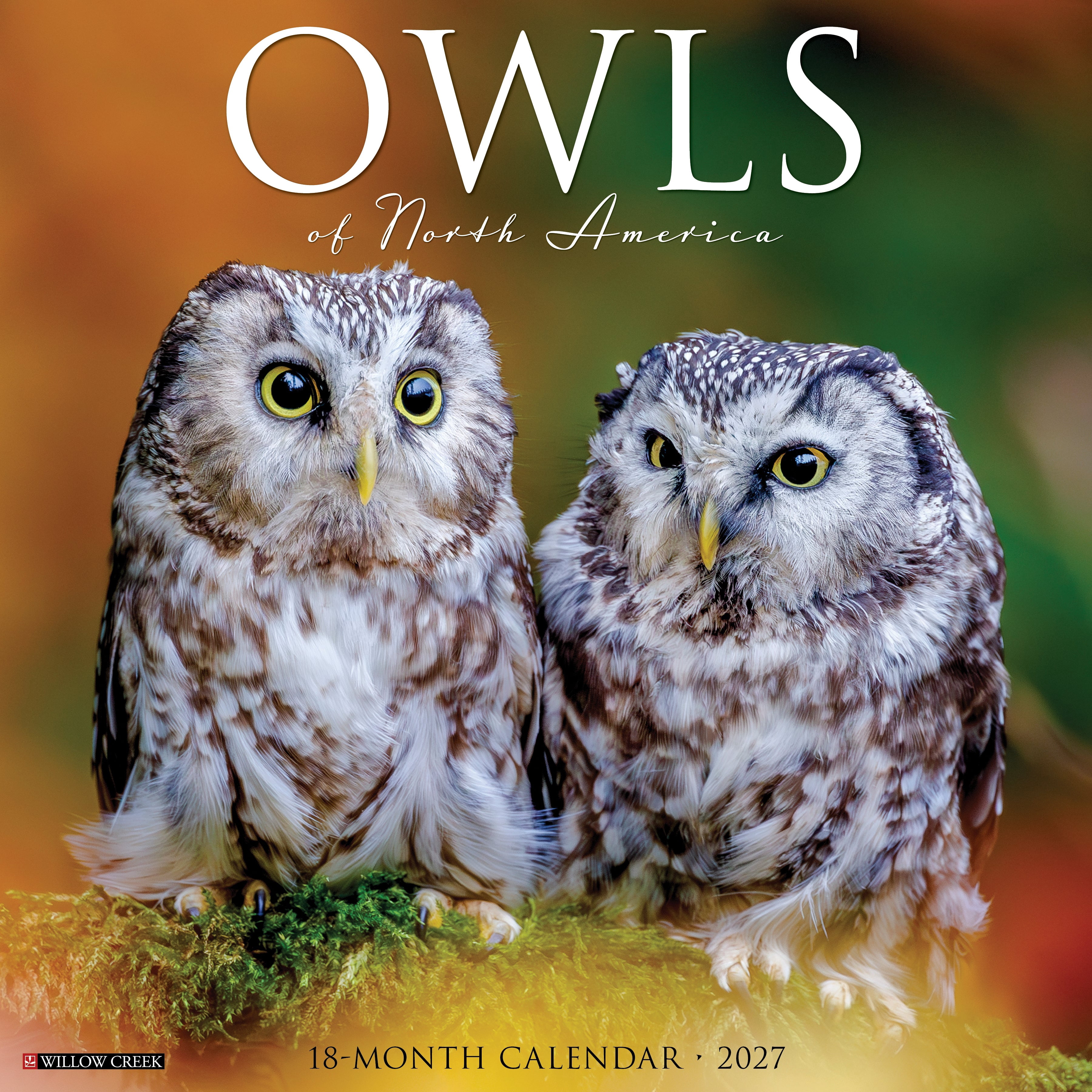 Willow Creek Press, Owls 2027 Wall Calendar