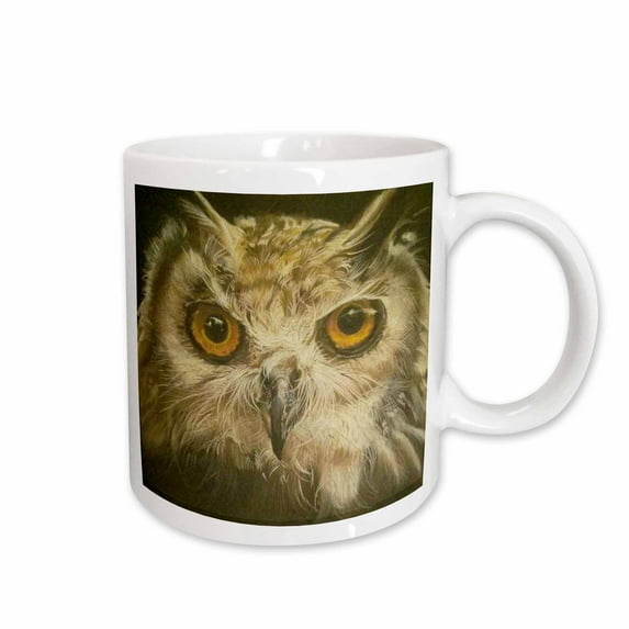 Owls face 11oz Mug mug-201538-1