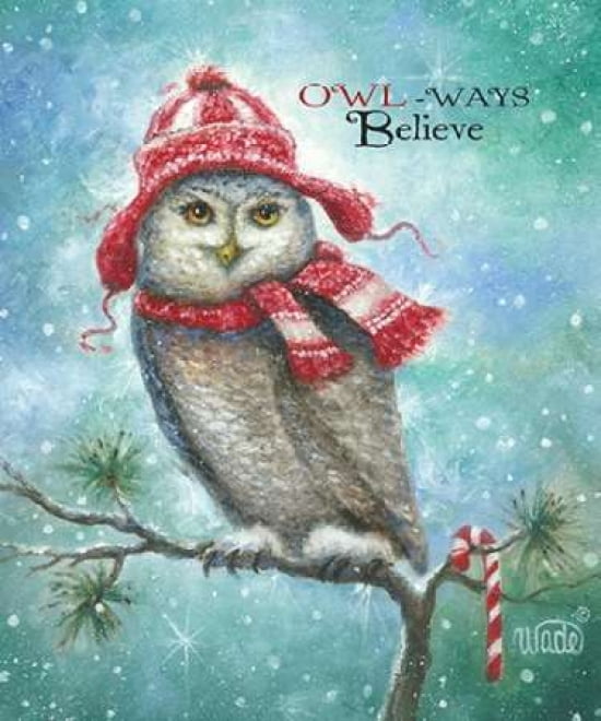 Owlways Canvas Art - Vickie Wade (20 x 24)