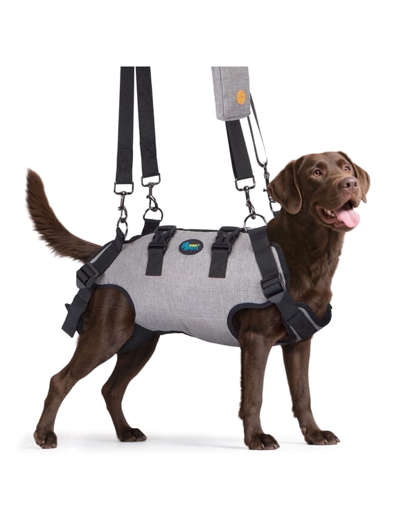 Dog Sling Harness Outdoor Sling Bag for Spine Protection Whole Body Support Support Vest to Assist Aged Dogs Size L