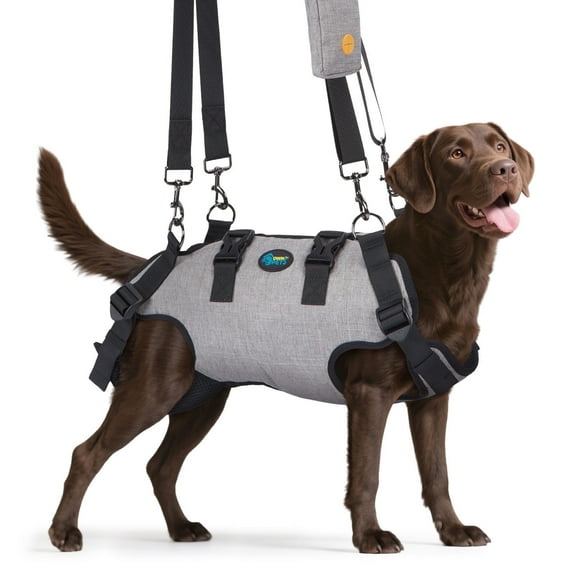 Ownpets Dog Sling Harness Outdoor Sling Bag for Spine Protection Whole Body Support Support Vest to Assist Aged Dogs Size L
