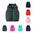 thumbnail image 1 of Owordtank Toddler Kids Boys Girls Puffer Vest Coat Sleeveless Full Zip Coat Outerwear, 1 of 8