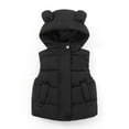 thumbnail image 1 of Owordtank Toddler Kids Boys Girls Puffer Vest Coat with Ear Hood Sleeveless Full Zip Coat Outerwear, 1 of 7