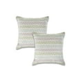 thumbnail image 1 of LR Home Ox Bay Green/Blue Chevron All-Natural Cotton Square 2 Piece Pillow Cover Set, 1 of 7