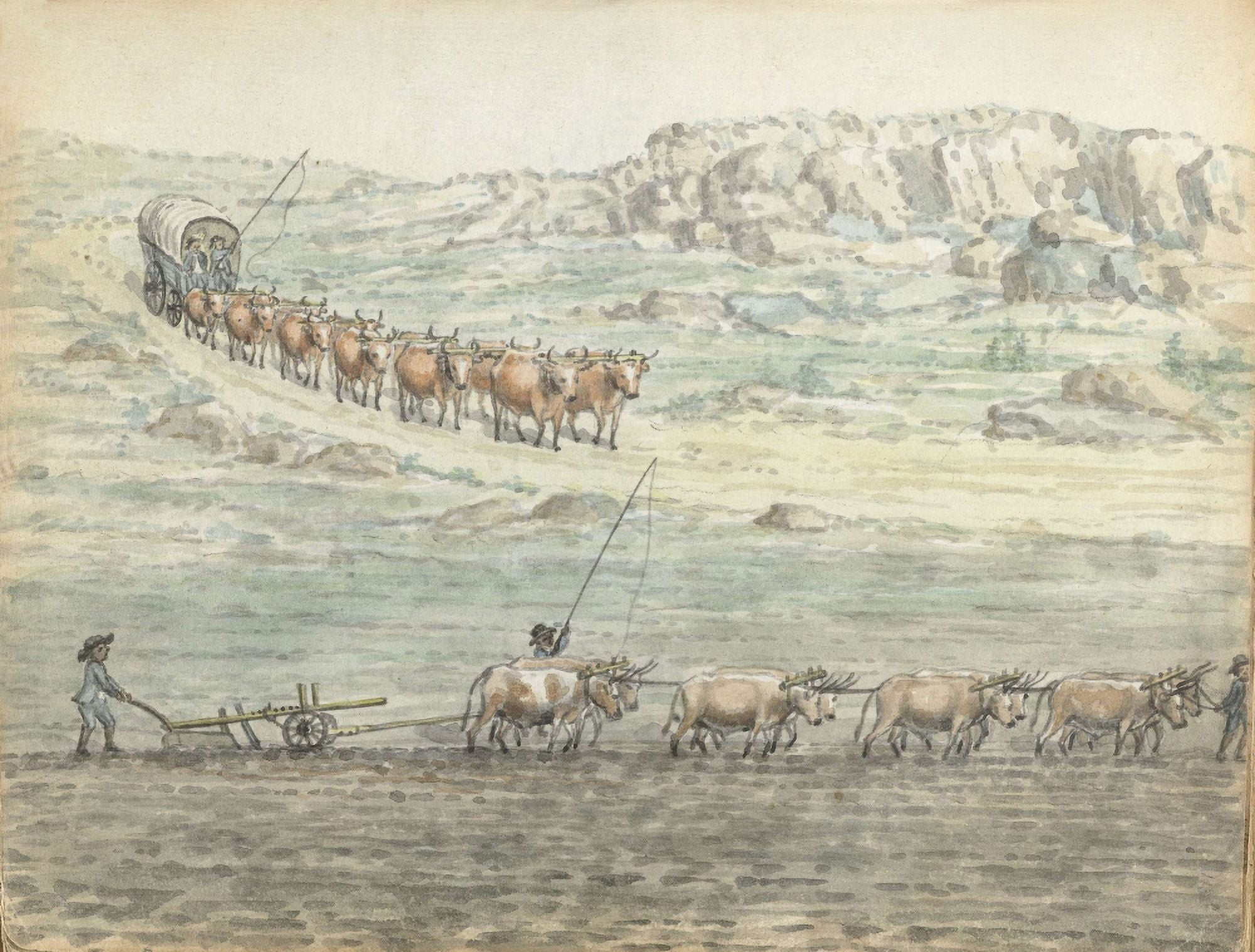 Ox-Span For Covered Wagon And Plow Canvas Art -  (36 x 24)