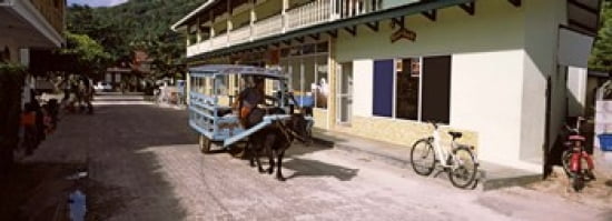 Ox-drawn cart in a street La Digue Island Seychelles Canvas Art - Panoramic Images (36 x 13)