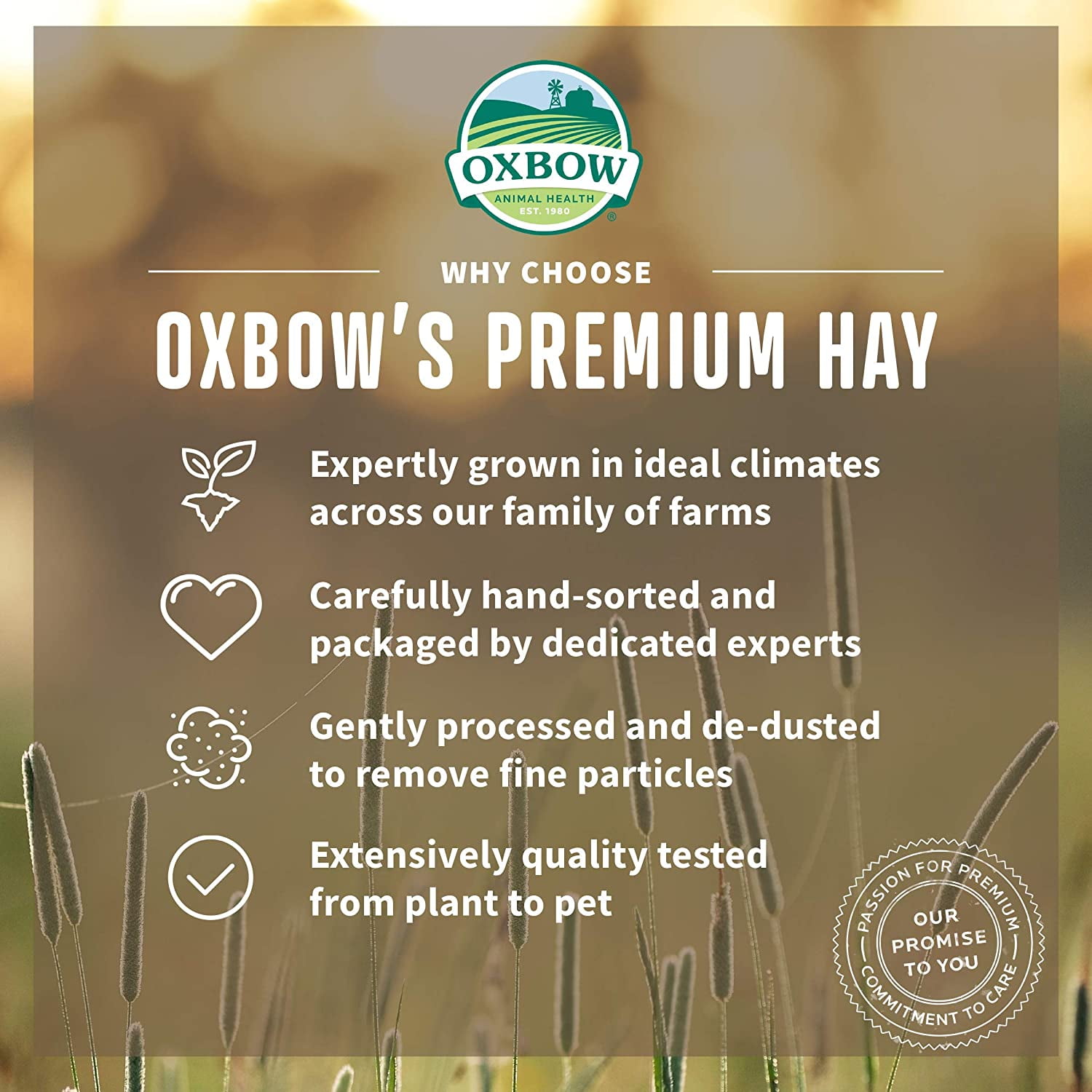 OXBOW ANIMAL HEALTH Oxbow Pet Products Botanical Hay Dry Small Animal Food, 15 oz.