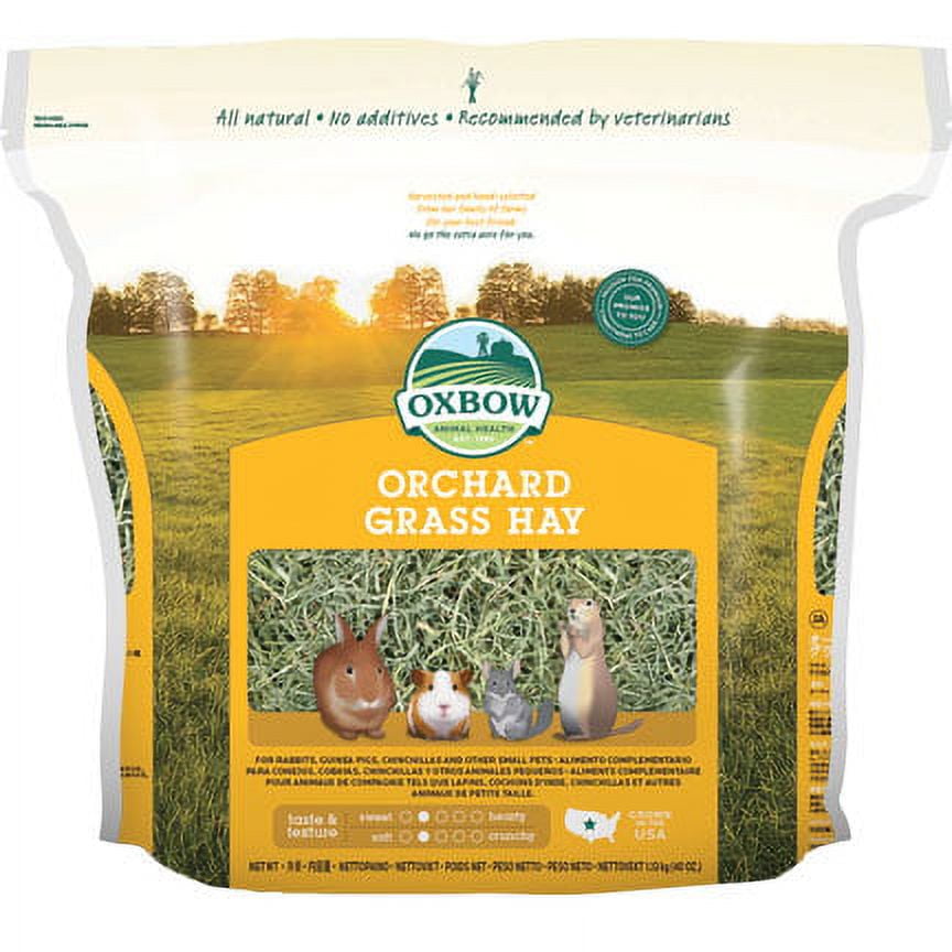 Oxbow Pet Products Orchard Grass Hay Dry Small Animal Food, 50 lbs
