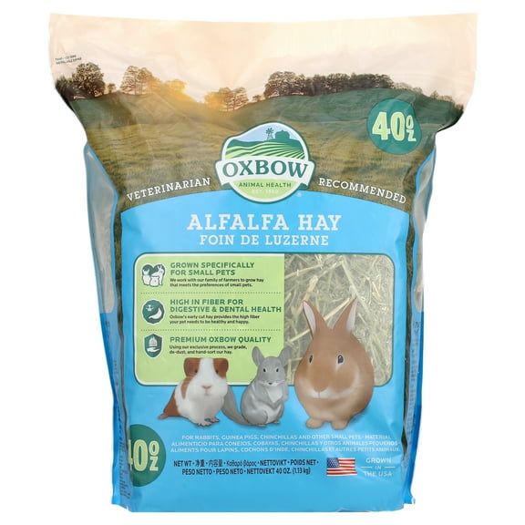 Oxbow Premium Alfalfa Hay Small Animal Food for Rabbits & Small Animals- 40 oz