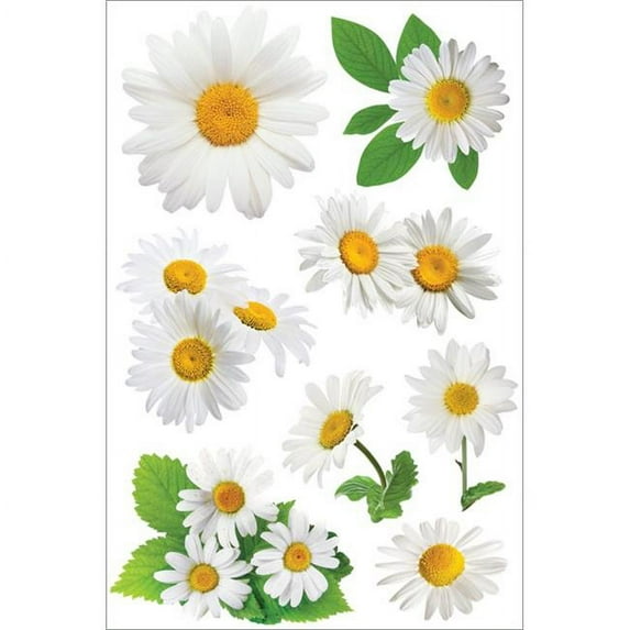 Oxeye Daisies 3D Stickers - 4.5 x 8.5 in.