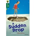 thumbnail image 1 of Oxford Reading Tree All Stars: Oxford Level 12: A Sudden Drop, 1 of 1