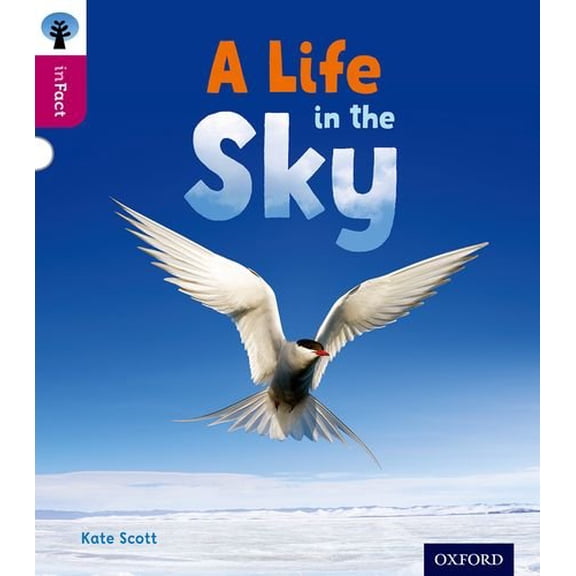 Oxford Reading Tree Infact: Level 10: a Life in the Sky