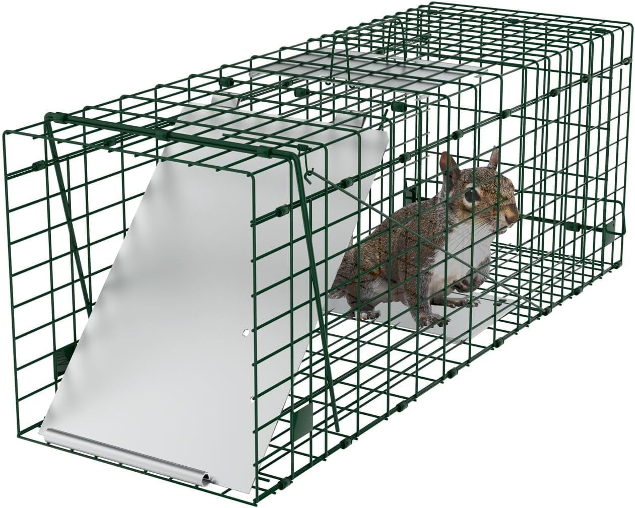  Havahart 1079SR Large 1-Door Humane Catch and Release Live Animal  Trap for Raccoons, Cats, Bobcats, Beavers, Small Dogs, Groundhogs,  Opossums, Foxes, Armadillos, and Similar-Sized Animals : Home Pest Control  Traps 