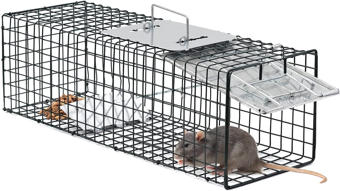 https://i5.walmartimages.com/seo/Oxgord-Live-Animal-Trap-Humane-Catch-Release-Cage-Raccoon-Cat-Rabbit-Rodents-2-Door-Foldable-Heavy-Duty-Trapping-Kit-24-X-7-X-7_671e1abe-15af-494f-94e5-9a709916a22f.71cf8d58d5ccb1817ce43baf12e6653c.jpeg