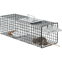 https://i5.walmartimages.com/seo/Oxgord-Live-Animal-Trap-Humane-Catch-Release-Cage-Raccoon-Cat-Rabbit-Rodents-2-Door-Foldable-Heavy-Duty-Trapping-Kit-24-X-7-X-7_671e1abe-15af-494f-94e5-9a709916a22f.71cf8d58d5ccb1817ce43baf12e6653c.jpeg?odnHeight=264&odnWidth=264&odnBg=FFFFFF