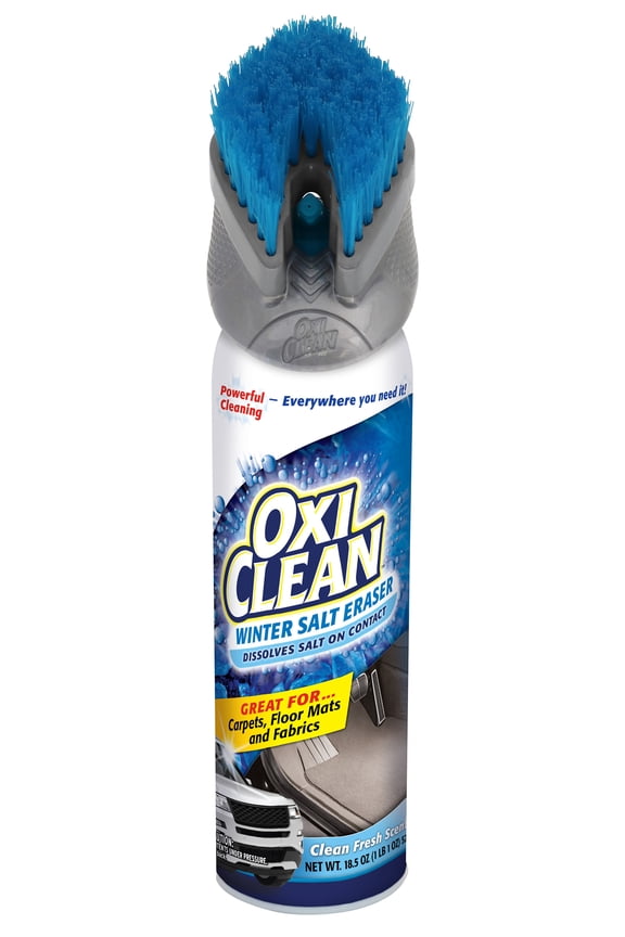 Winter Salt Eraser Automotive Cleaner and Deodorizer, 18.5 oz, 1 Pack, 57210OC