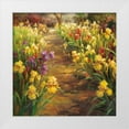 thumbnail image 1 of Oxley, Vail 26x26 White Modern Wood Framed Museum Art Print Titled - Iris Pathway, 1 of 4