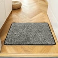 Oyajia Door Mats Indoor, 23.6" x 35.4", NonSlip Entrance Rug, Shoes Scraper, Dog Door Mat, for