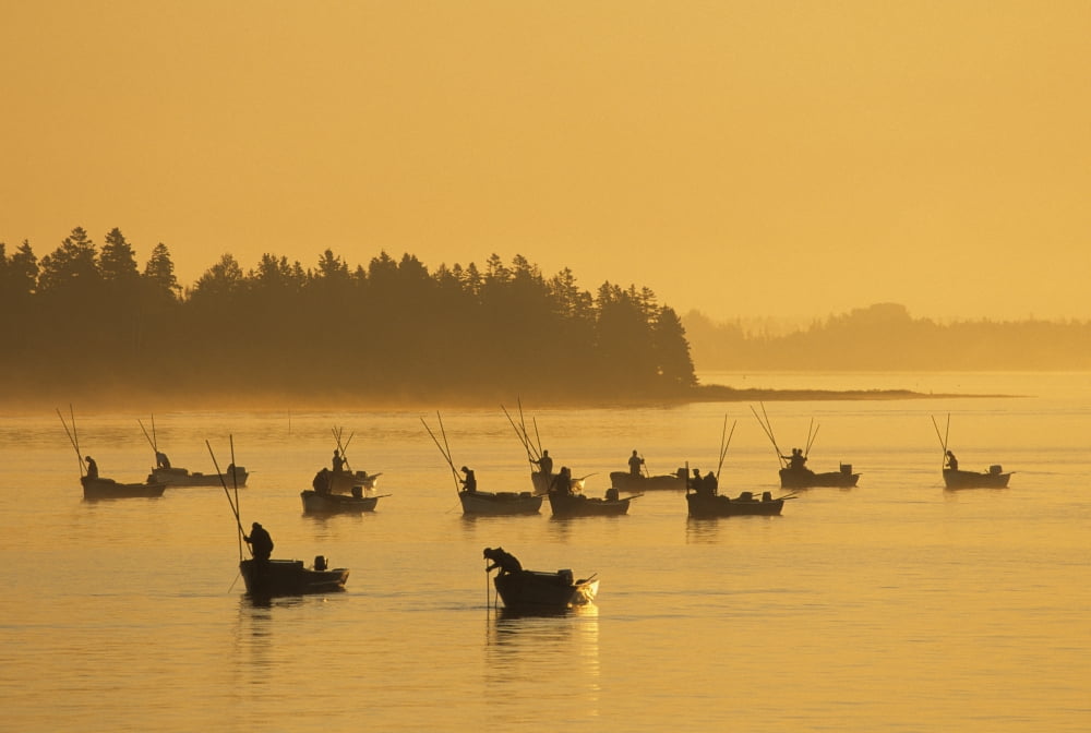Oyster Fishers At Sunrise West River Prince Edward Island Canvas Art - John Sylvester Design Pics (17 x 11)