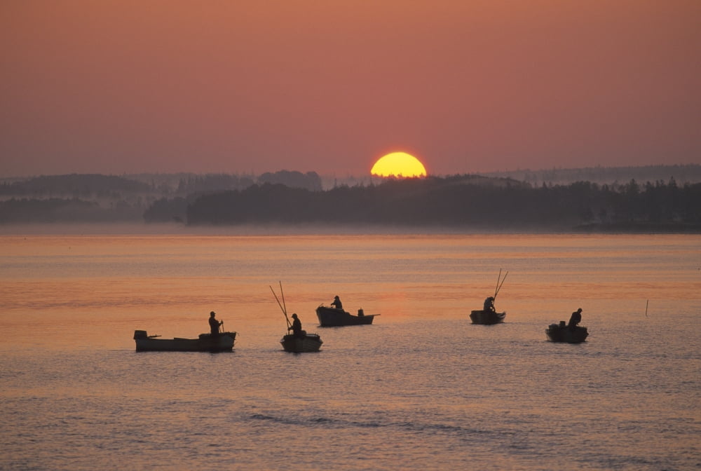 Oyster Fishers Sunrise West River Prince Edward Island Canvas Art - John Sylvester  Design Pics (34 x 22)