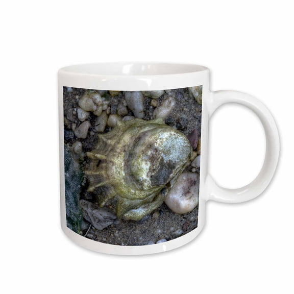 3drose, Oyster Shell, Close Up, 15oz Mug