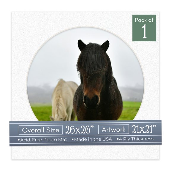 Oyster Shell White Picture Frame Mat for 26x26 Frames - Circle Opening for 21x21 Photos - 1 Mat