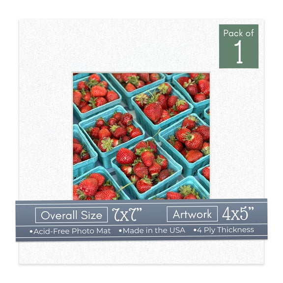 Oyster Shell White Picture Frame Mat for 7x7 Frames - Fits 4x5 Photos - 1 Mat