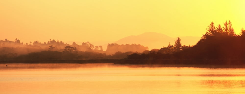 Oysterbed County Kerry Ireland Near Sneem Canvas Art - Peter Zoeller Design Pics (34 x 13)
