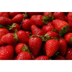 Ozark Beauty Strawberry Plants for Growing - Everbearing, Grow Your Own Food - Delicious Flavor, Great for Eating, Pies, Jams (5 Plants)
