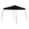 Multipack Quantity: 1, Shade Color: Black