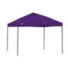 Shade Color: Purple
