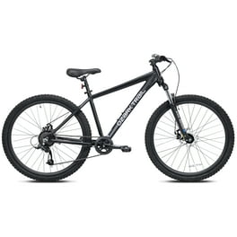 Schwinn al comp 29 hotsell
