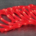 thumbnail image 1 of Indoor/Outdoor LED Christmas Crystal Rope Lights, Red, 24', by Holiday Time, 1 of 7